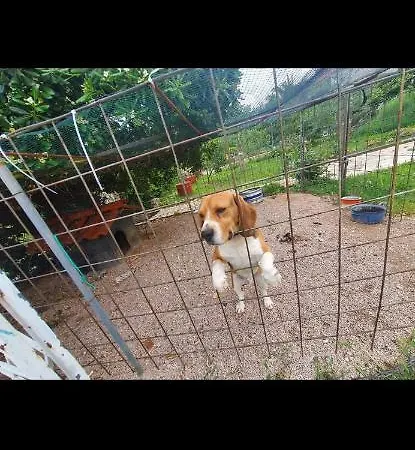 Kuca Za Odmor Bobi * Orebić
